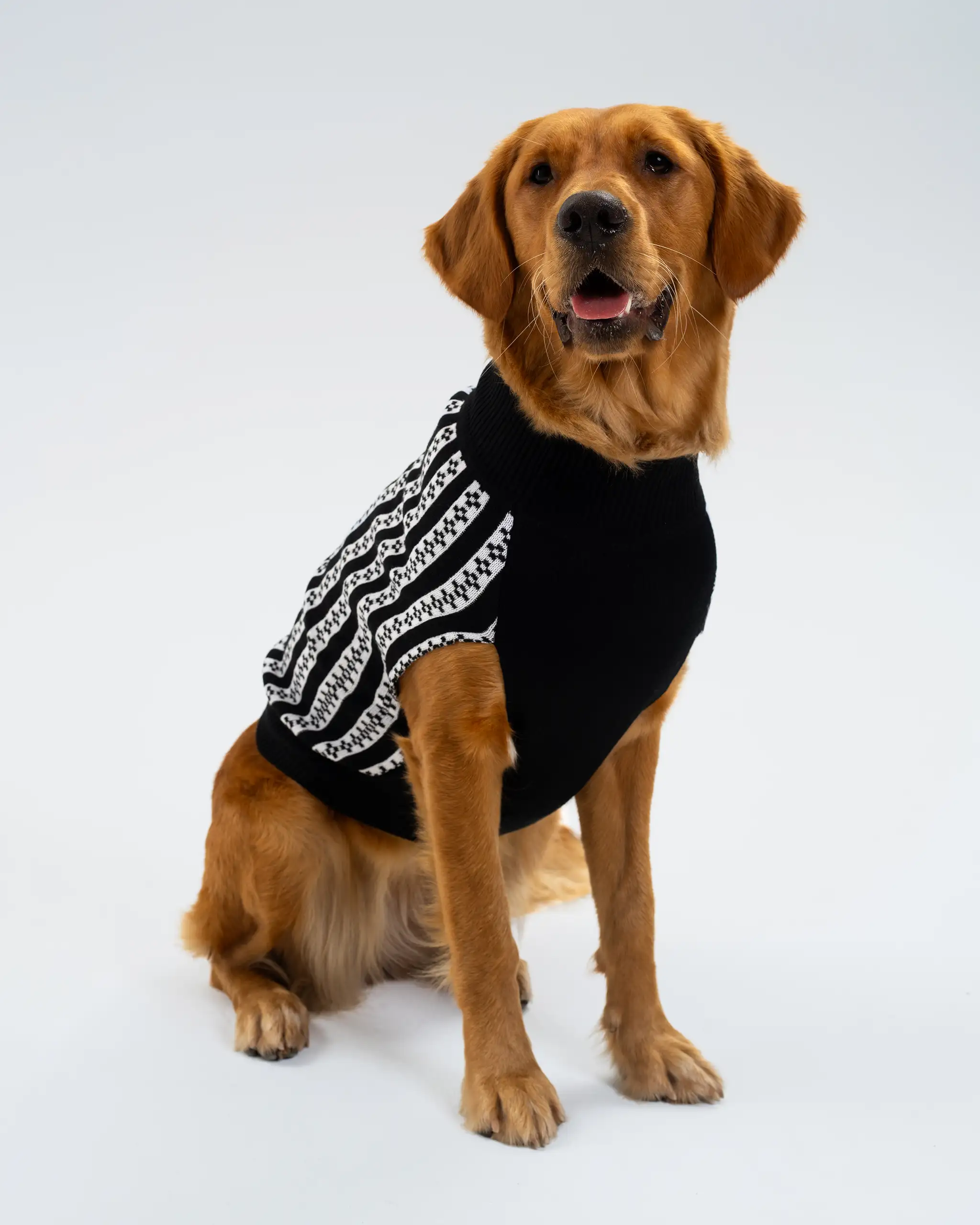 Newcastle United Dogs Striped Christmas Jumper - Image 4
