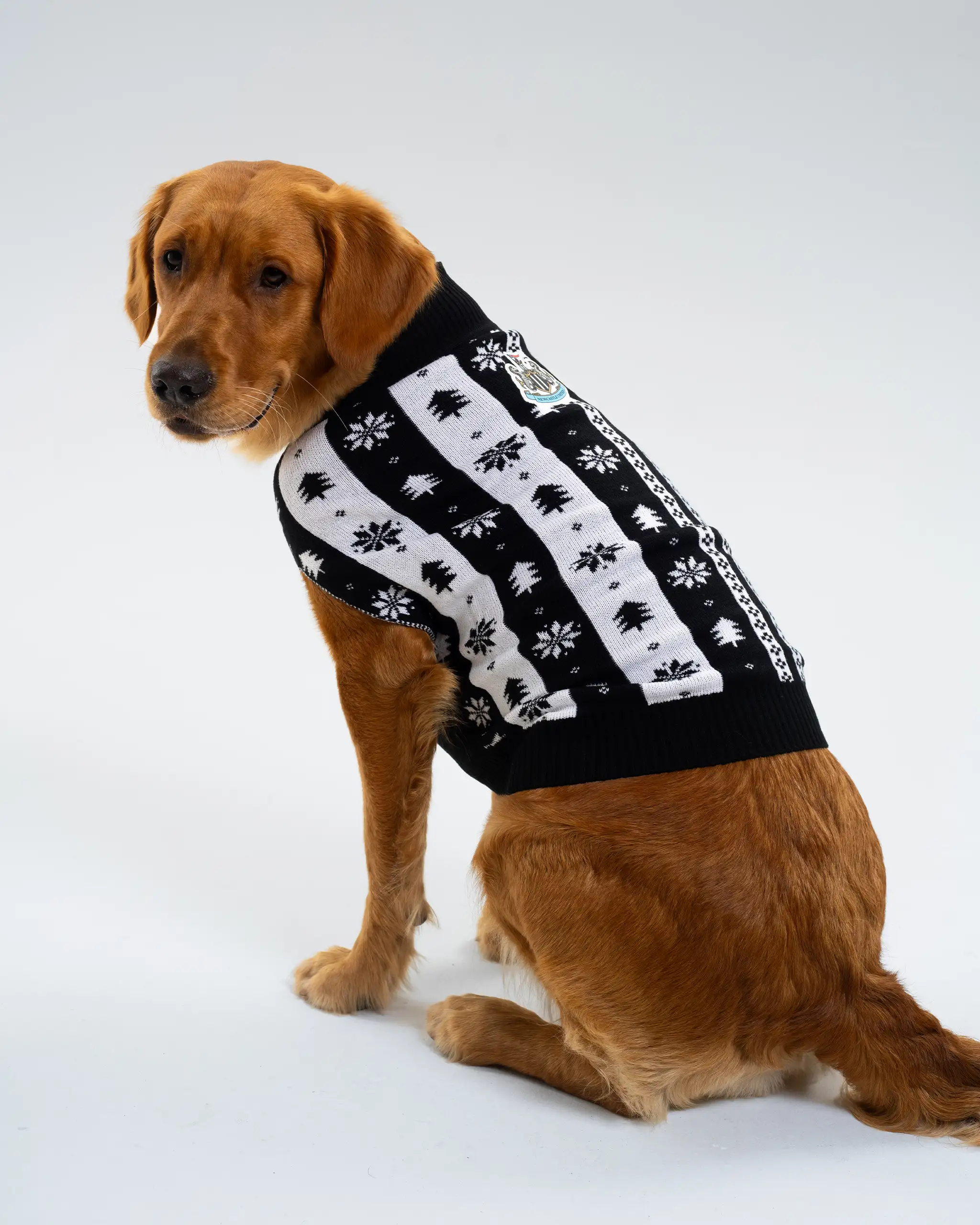 Newcastle United Dogs Striped Christmas Jumper - Image 5