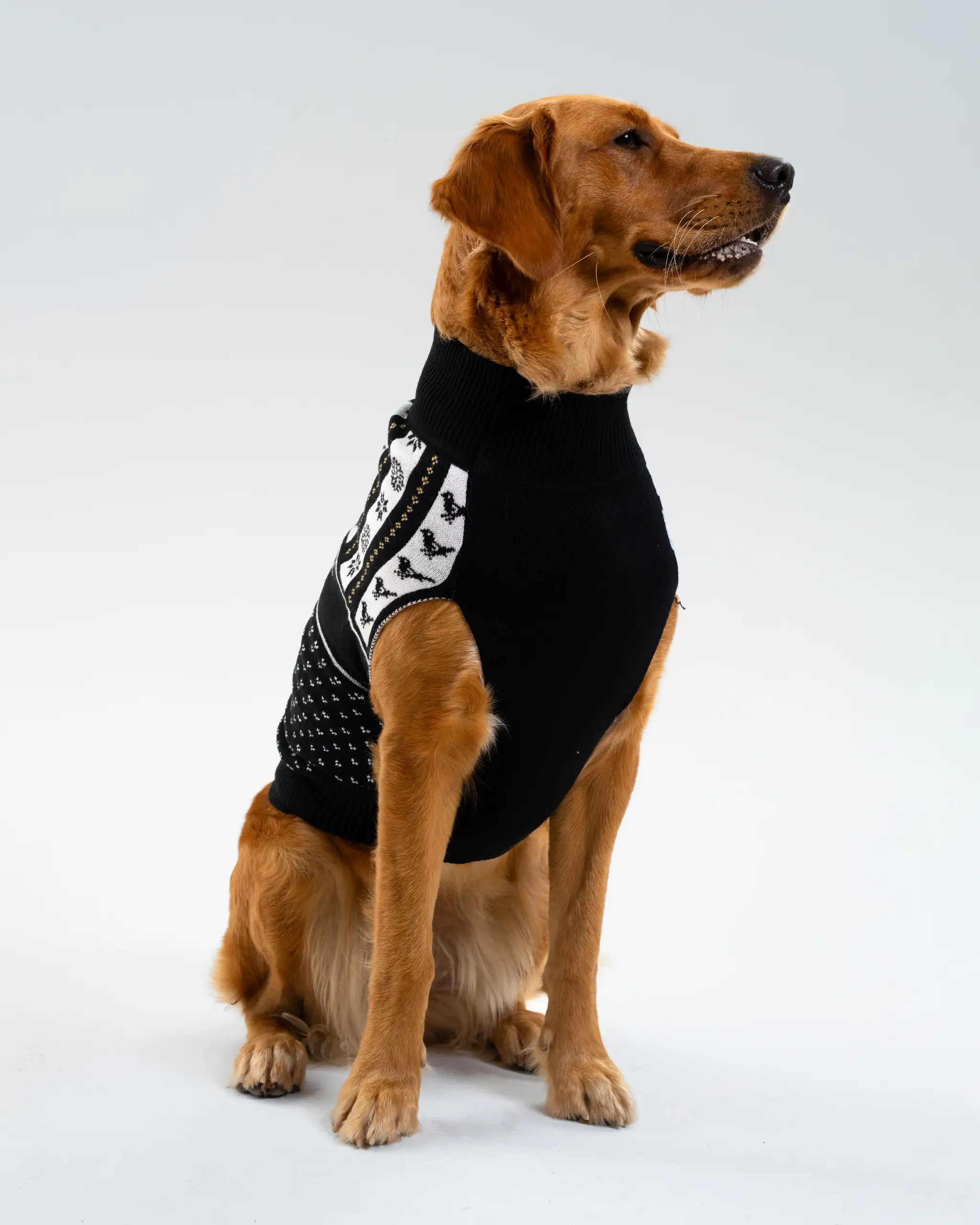 Newcastle United Dog Christmas Jumper - Image 3